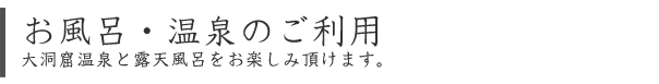 日帰り利用